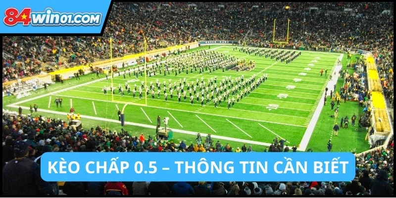 Keo-chap-nua-trai-Thong-tin-can-biet