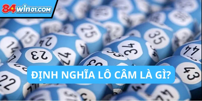 lo-cam-la-gi-dinh-nghia