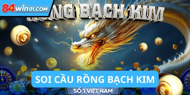 soi-cau-rong-bach-kim