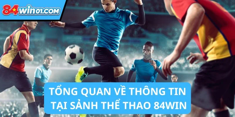 the-thao-84win-tong-quan
